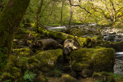 Afon Hepste, Ystradfellte, Wales