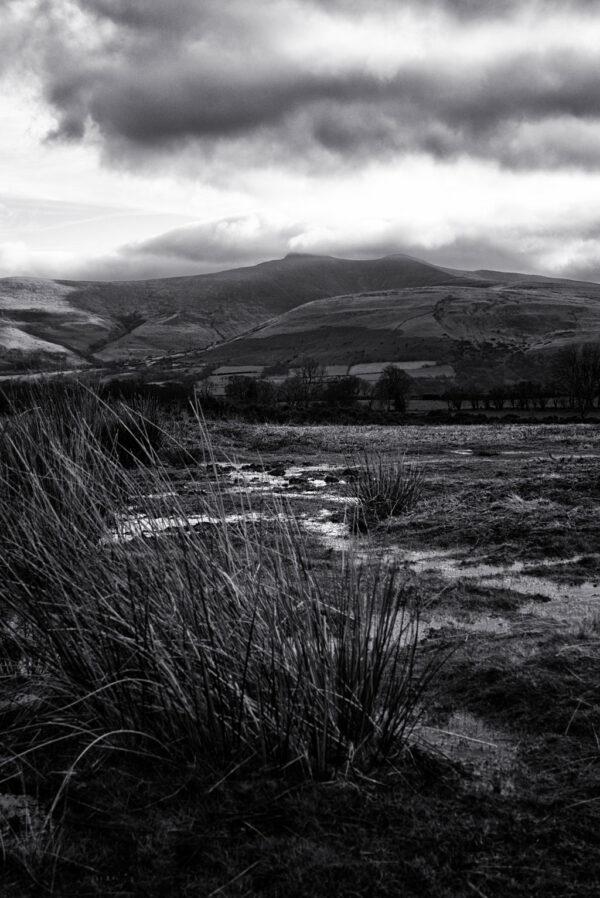 View of Pen-y-fan