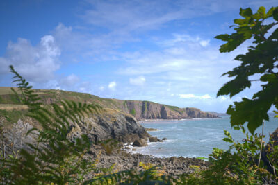 Stackpole coast West Wales